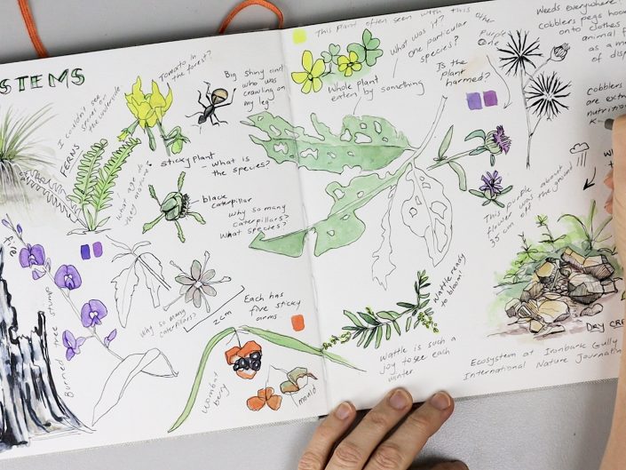 Journaling with Nature