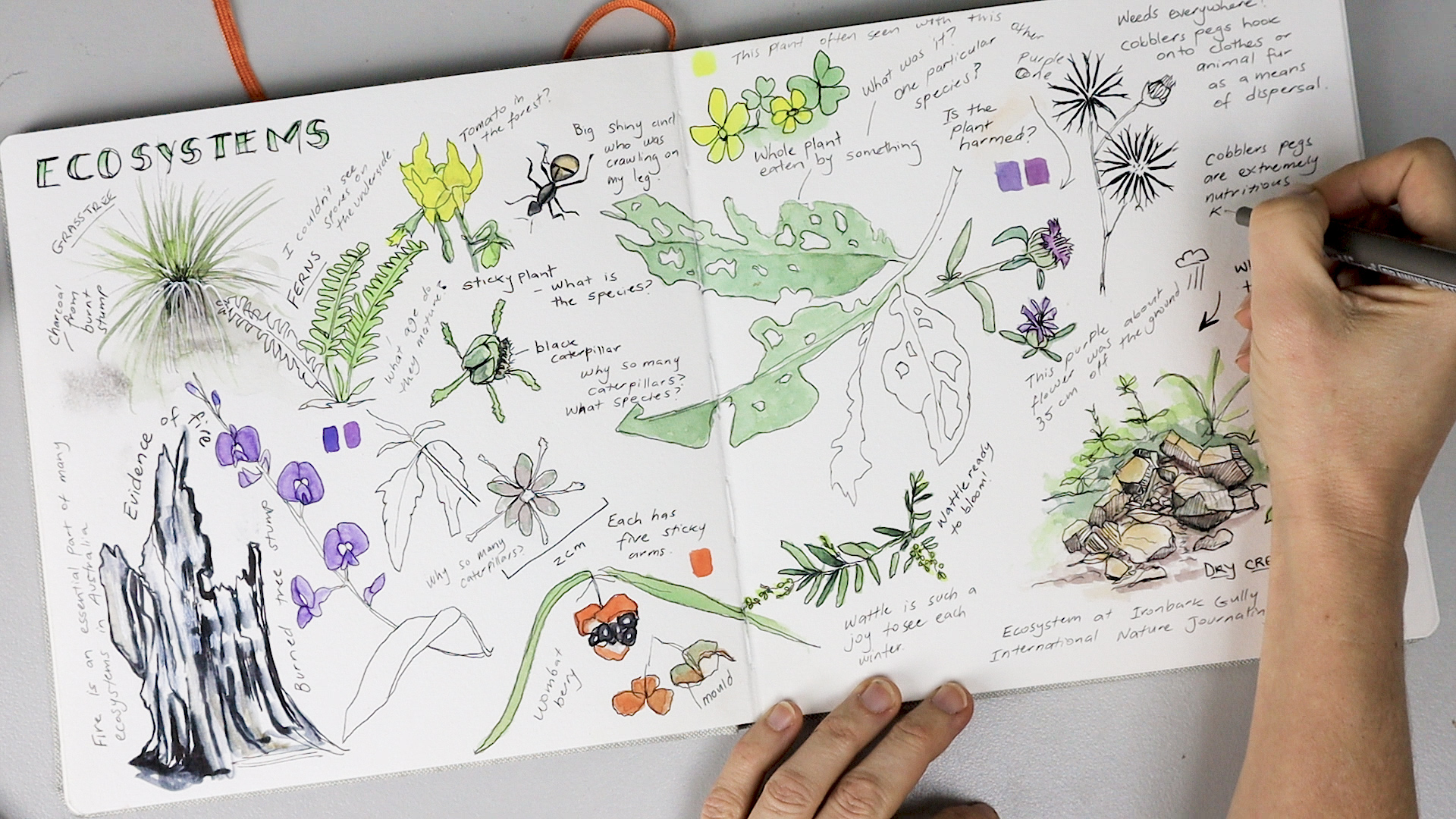 100 Acts of Kindness Commercial Adverts - Product Commercial Videography movie production on gold coast brisbane - Journaling with Nature